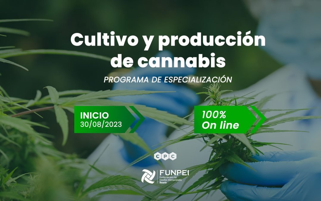 Cultivo y Producción de Cannabis